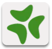Bloomerang